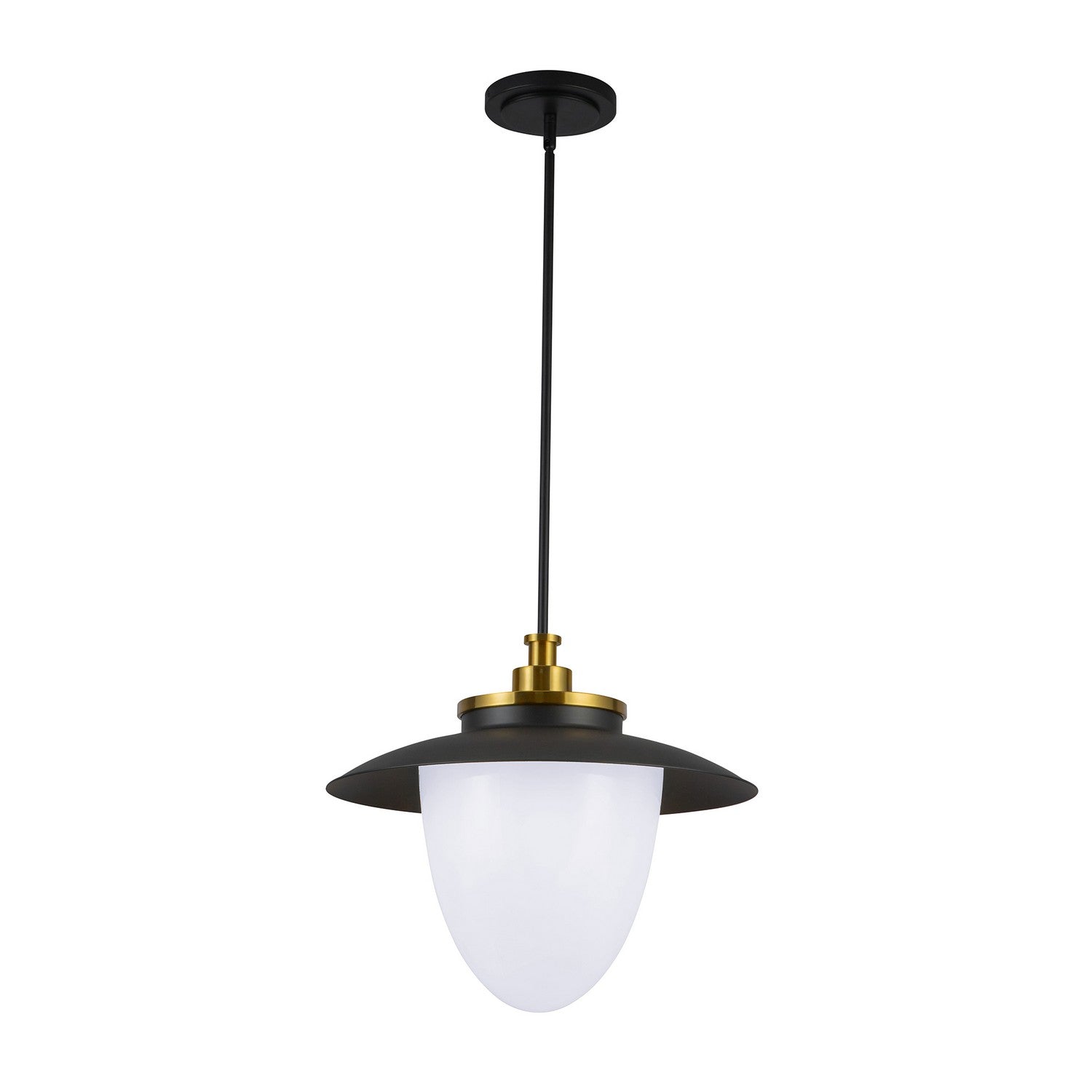 Artcraft Canada - AC11906BB - Three Light Pendant - Dahlia - Brushed Brass
