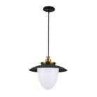 Artcraft Canada - AC11906BB - Trois lumières Suspension - Dahlia - Laiton brossé