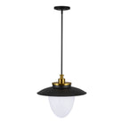 Artcraft Canada - AC11906BB - Trois lumières Suspension - Dahlia - Laiton brossé