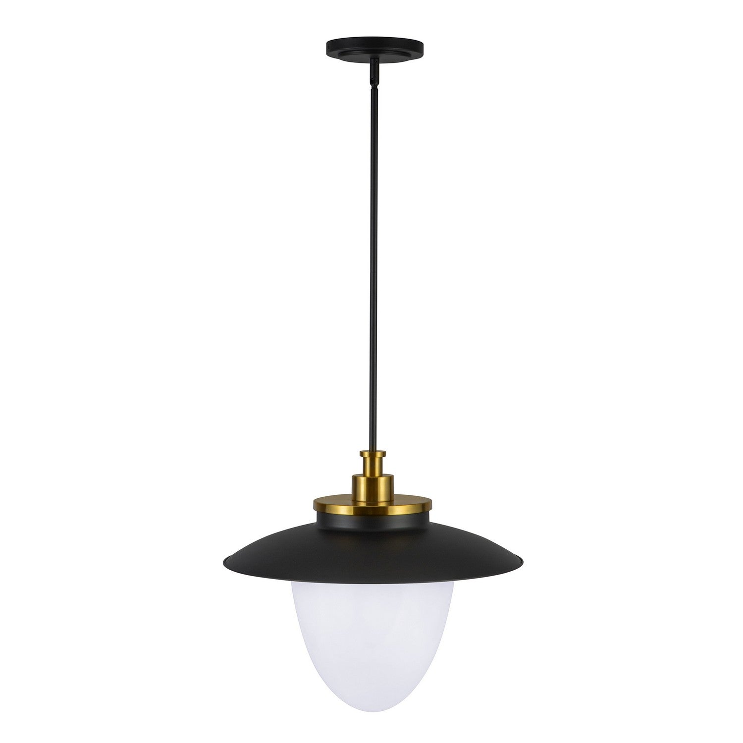 Artcraft Canada - AC11906BB - Three Light Pendant - Dahlia - Brushed Brass