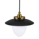 Artcraft Canada - AC11906BB - Trois lumières Suspension - Dahlia - Laiton brossé