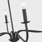 Generation Lighting Canada - GLC1196MBK - Six Light Chandelier - Abells - Midnight Black