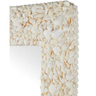 Currey and Company - 1000-0168 - Mirror - Turbinella - Natural