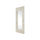 Currey and Company - 1000-0168 - Mirror - Turbinella - Natural