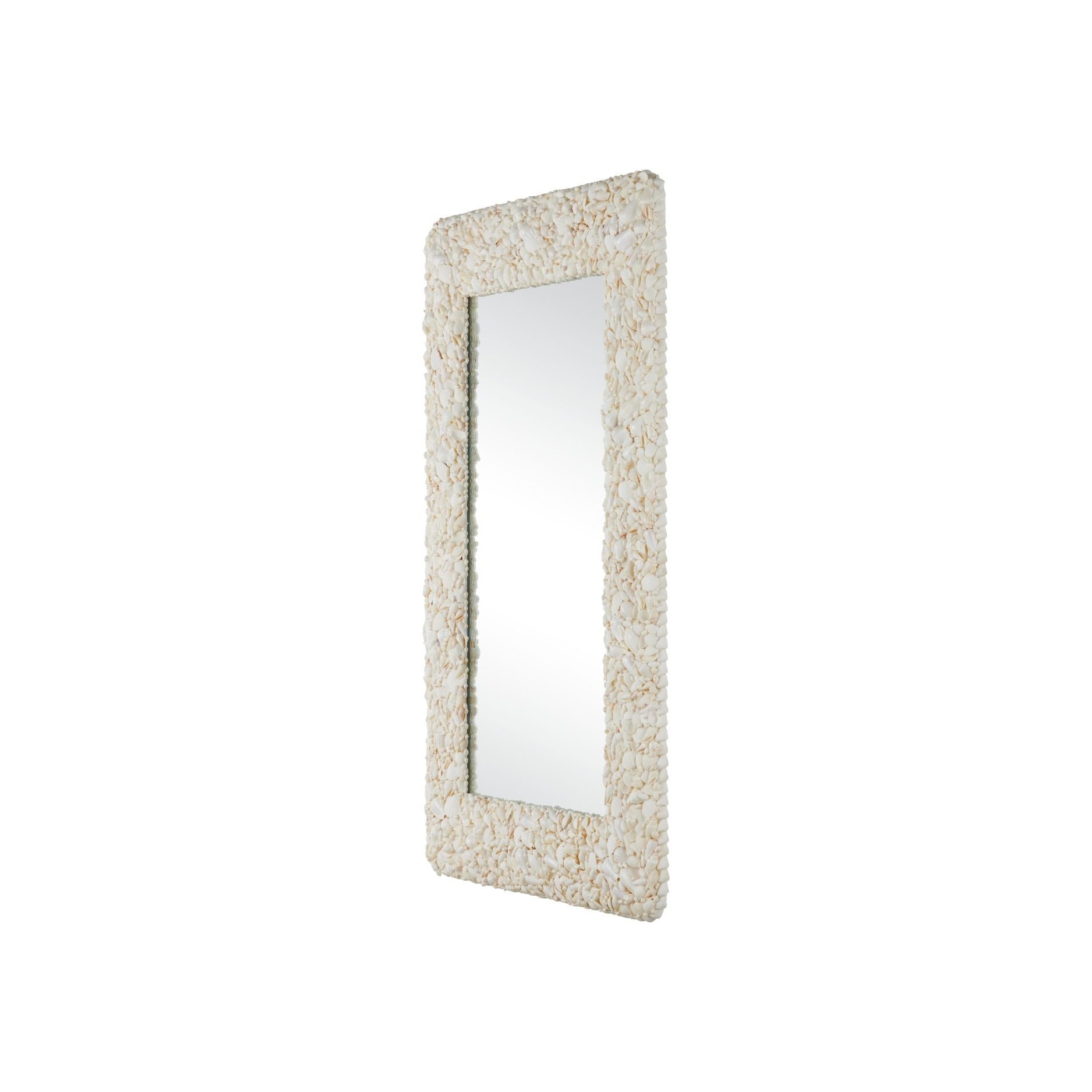 Currey and Company - 1000-0168 - Miroir - Turbinella - Naturel