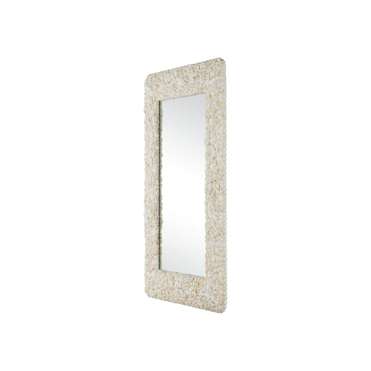Currey and Company - 1000-0168 - Miroir - Turbinella - Naturel