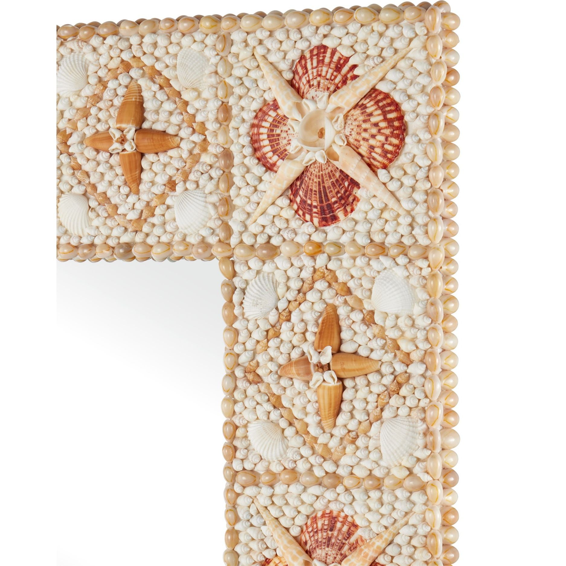 Currey and Company - 1000-0169 - Miroir - Miroir rectangulaire Junonia - Naturel