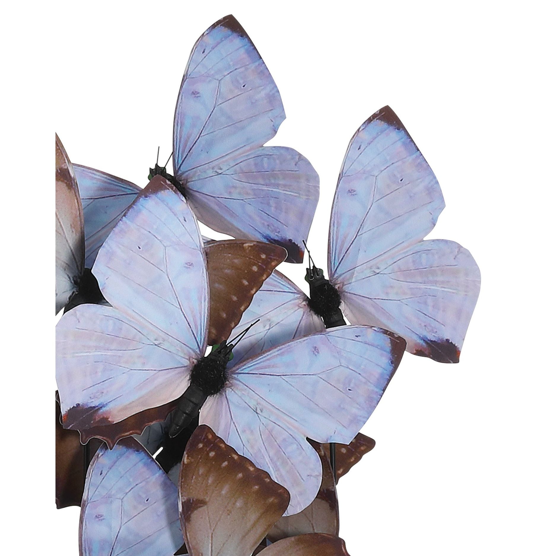 Currey and Company - 1200-0976 - Sculpture - Rue de Bac - Lilas / Marron / Noir / Transparent