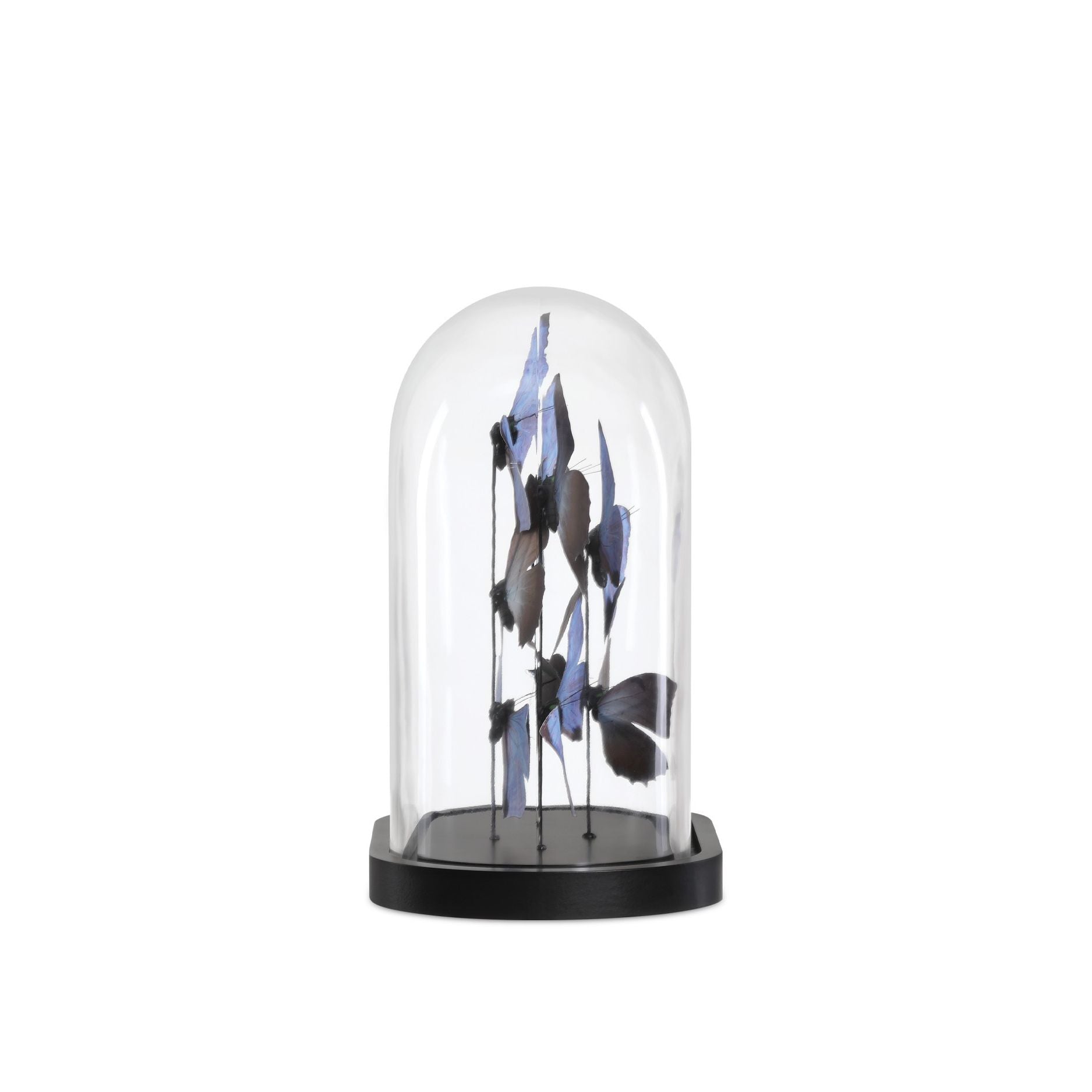 Currey and Company - 1200-0976 - Sculpture - Rue de Bac - Lilas / Marron / Noir / Transparent