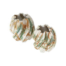 Currey and Company - 1200-0986 - Vase - Camouflage - Vert / Marron / Blanc cassé
