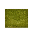 Currey and Company - 1200-1024 - Box - Rina - Green