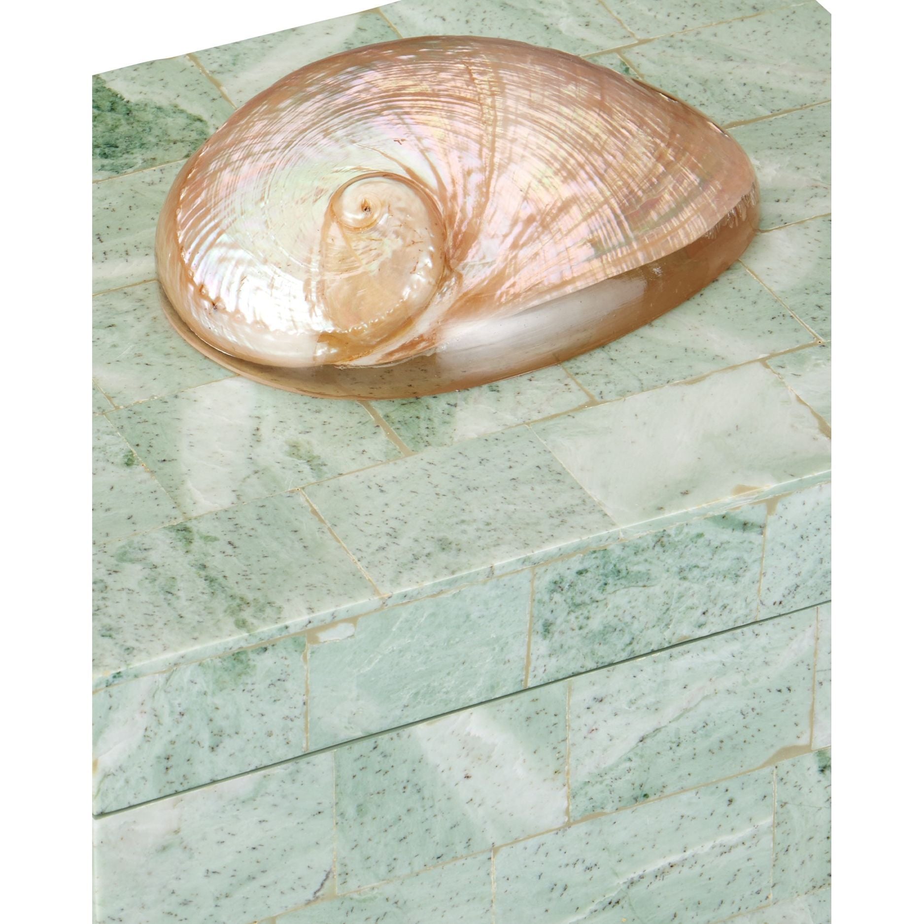 Currey and Company - 1200-1025 - Boîte - Fiona Box - Naturel