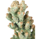 Currey and Company - 1200-1045 - Objet - Corne de cerf - Vert