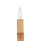 Currey and Company - 5000-0280 - Two Light Wall Sconce - Samsara - Natural / Saddle Tan