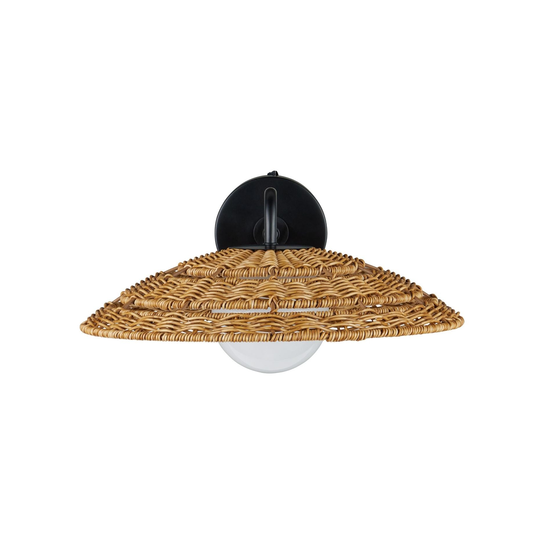 Currey and Company - 5500-0059 - Une lumière Murale - Barbarie - Naturel / Noir / Blanc givré