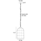 Arteriors - DPI14 - Une lumière Suspension - Jordan - Givré