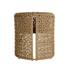 Arteriors - FRS25 - Outdoor Chair - Iggy - Tan