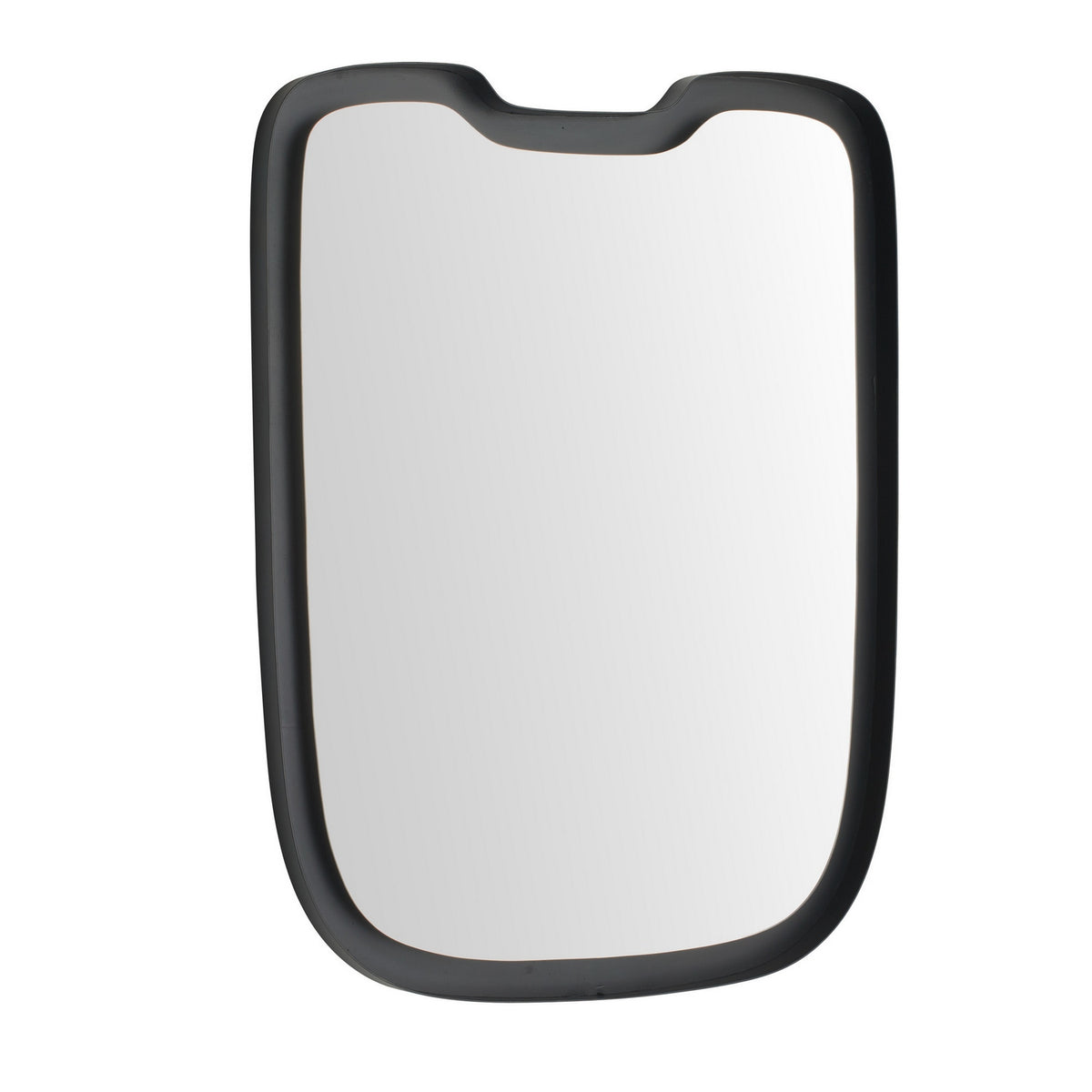 Arteriors - WMI90 - Mirror - Mercer - Burnt Iron