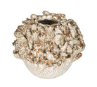Vase Tidal Currey and Company 1200-1053 en blanc laiteux