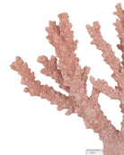 Currey and Company 1200-1083 Fire Coral in Coral/Clear