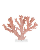 Currey and Company 1200-1083 Fire Coral in Coral/Clear