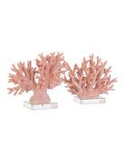 Currey and Company 1200-1083 Fire Coral in Coral/Clear