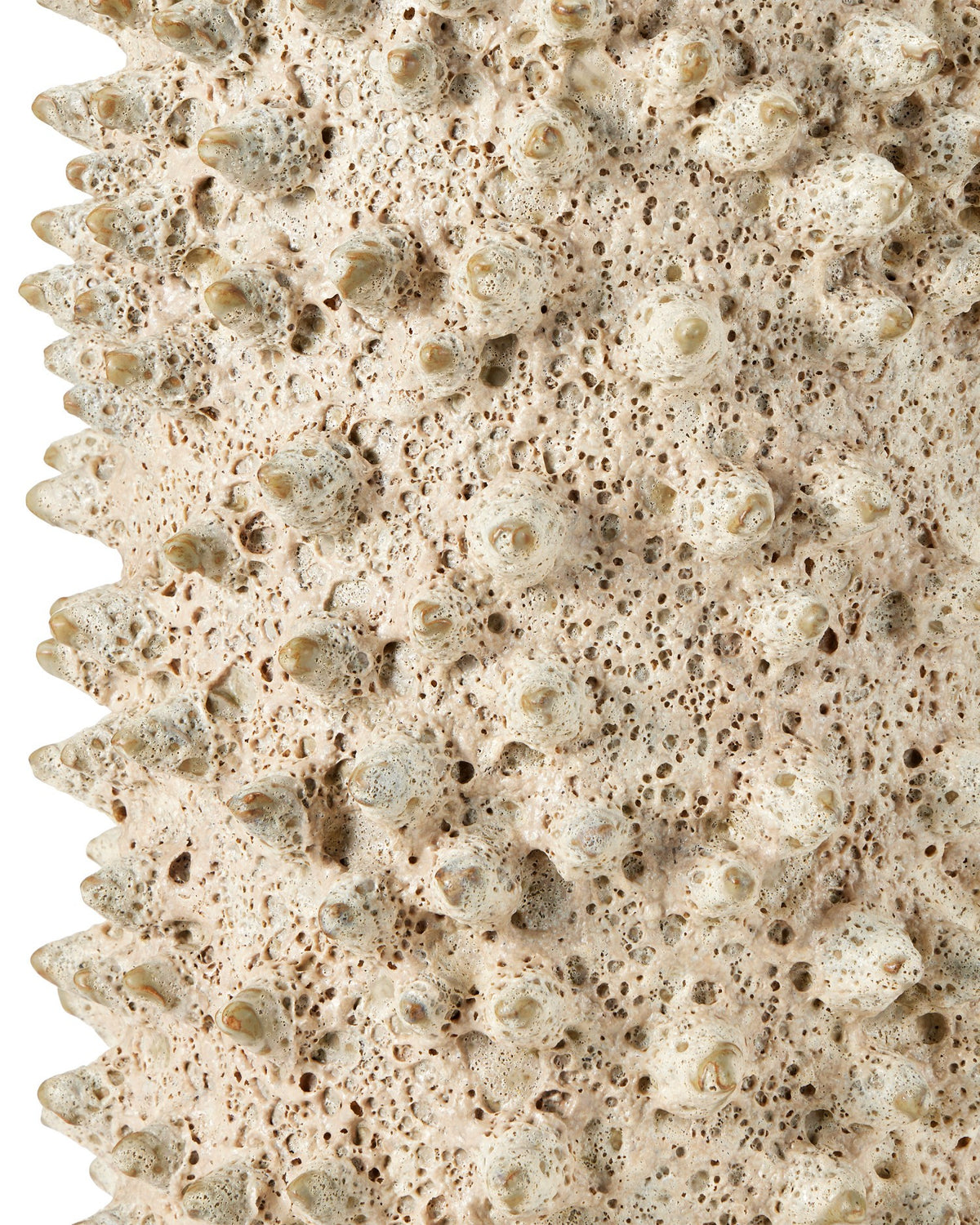 Currey and Company - 3000-0333 - Table d'appoint - Relique - Sable