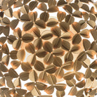 Crystorama - COR-7100-SG - Three Light Flush Mount - Cora - Soft Gold