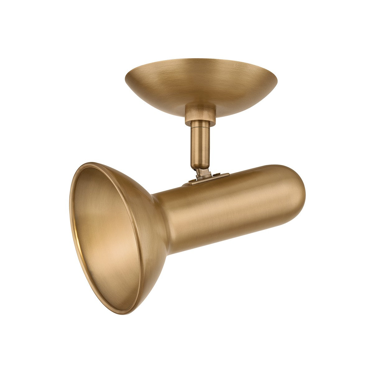Troy Lighting Canada - C2405-PBR - Une lampe Plafonnier - Björn - Laiton patiné