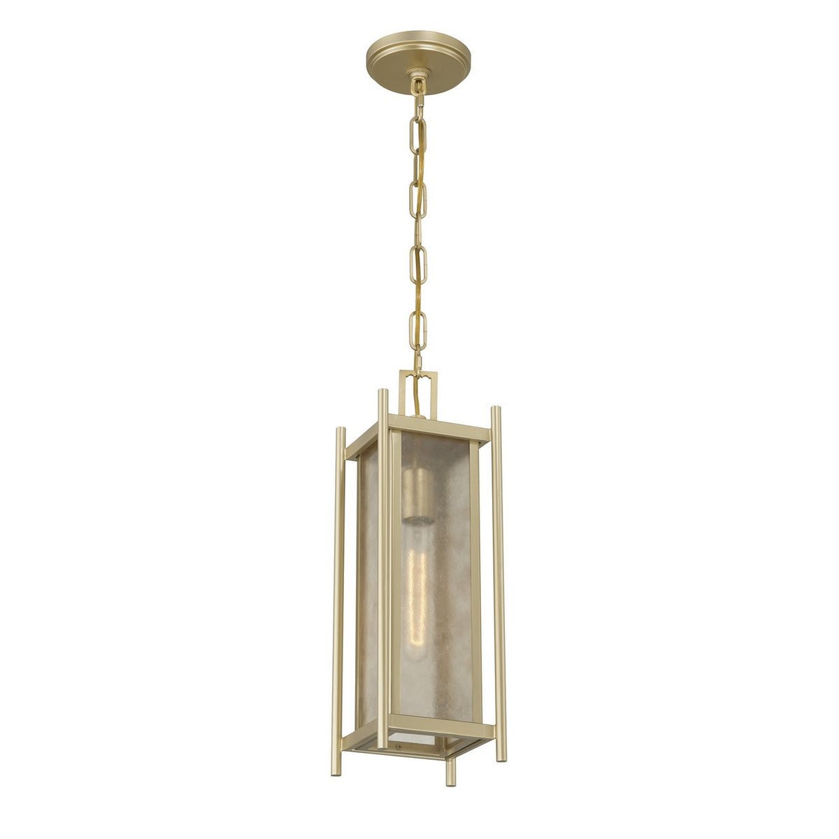 Savoy House - 5-3806-344 - Lanterne suspendue d'extérieur à une lumière - Jacobs - Laiton Serene