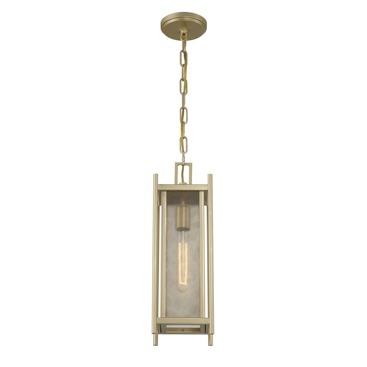 Savoy House - 5-3806-344 - Lanterne suspendue d'extérieur à une lumière - Jacobs - Laiton Serene