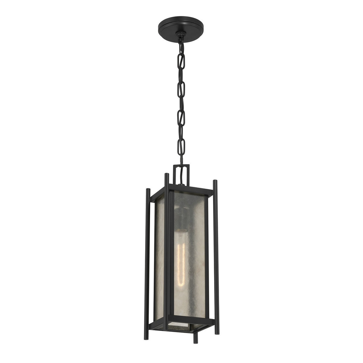 Savoy House - 5-3806-BK - Lanterne suspendue d'extérieur à une lumière - Jacobs - Noir mat