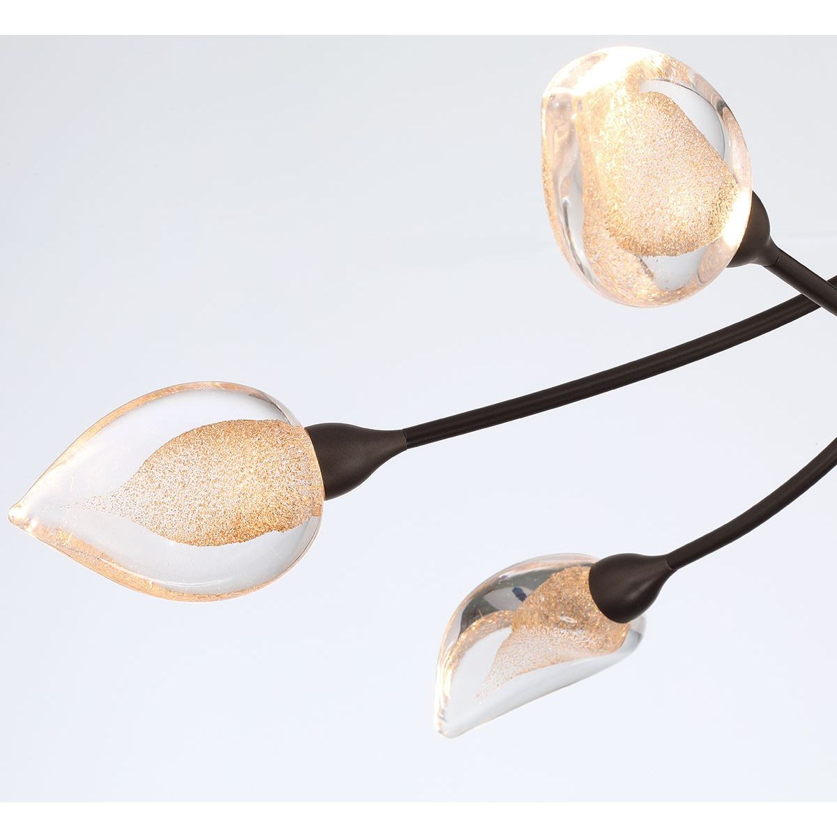 Lib & Co. Canada - 12309-043 - LED Ceiling Mount - Modena - Black with gold accent