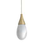 Arteriors - DPC34 - Une lumière Suspension - Giselle - Lueur fumée/Laiton antique