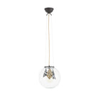 Arteriors - GDDPI04 - Une lumière Suspension - Chene - Bronze/Transparent