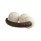 Arteriors - ASI22 - Sculpture - Sonora - White/Bronze