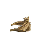 Arteriors - ASI23 - Sculpture - Mako - Antique Brass