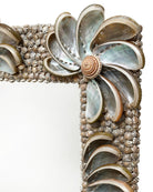 Miroir Halcyon Currey and Company 1000-0175, finition naturelle/argentée