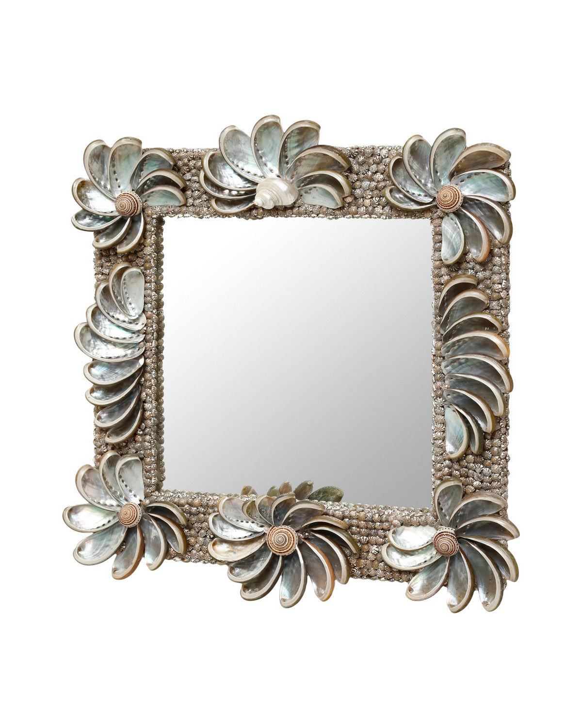 Miroir Halcyon Currey and Company 1000-0175, finition naturelle/argentée