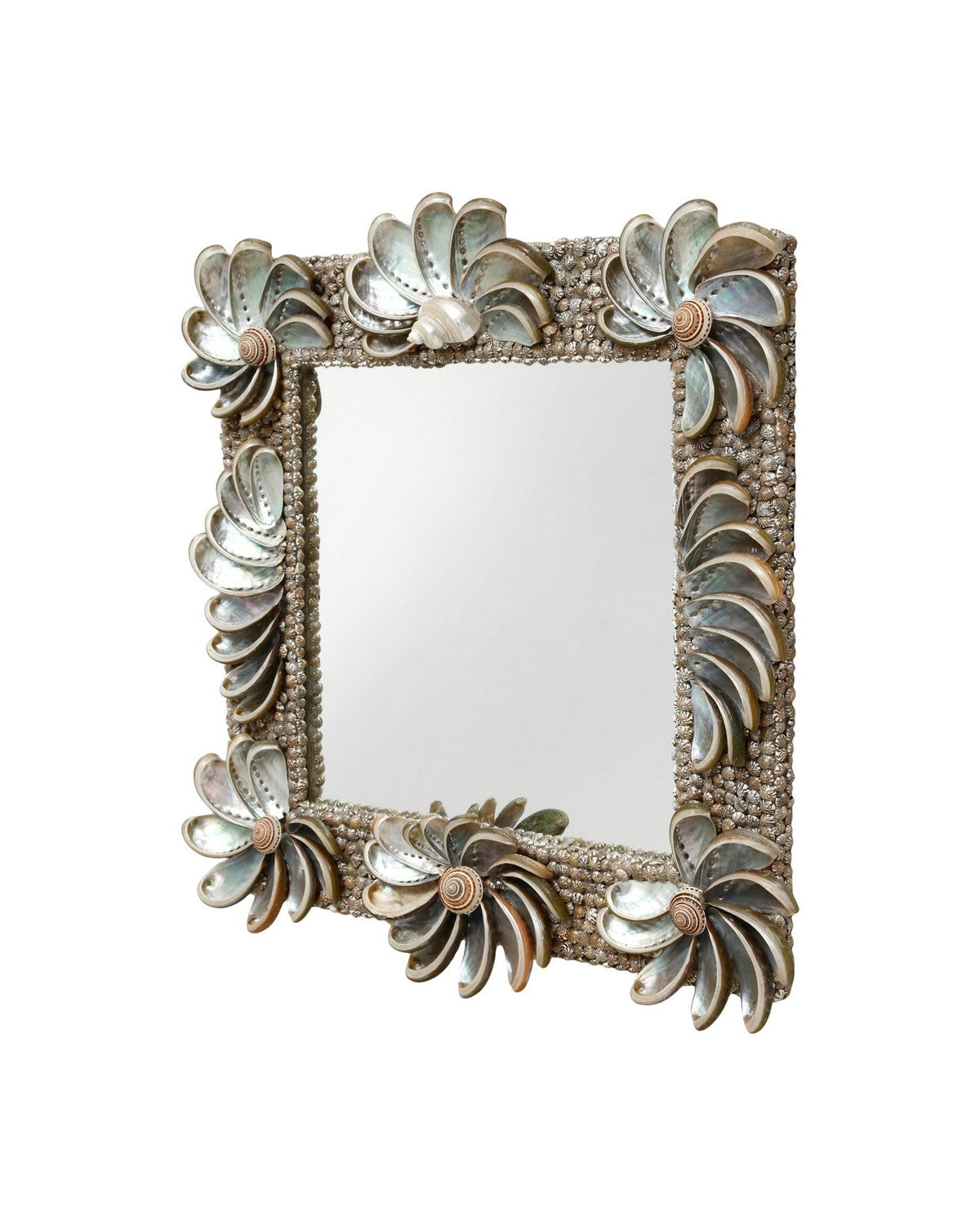 Miroir Halcyon Currey and Company 1000-0175, finition naturelle/argentée