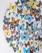 Currey and Company 1200-1172 Chroma Décoration murale multicolore