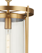 Currey and Company 9000-1493 Pippin Suspension en laiton antique/transparent