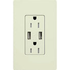 Lutron - Claro & Satin Colors 15A USB Tamper Resistance Receptacle - SCR-15-UBTR-BI | Montreal Lighting & Hardware
