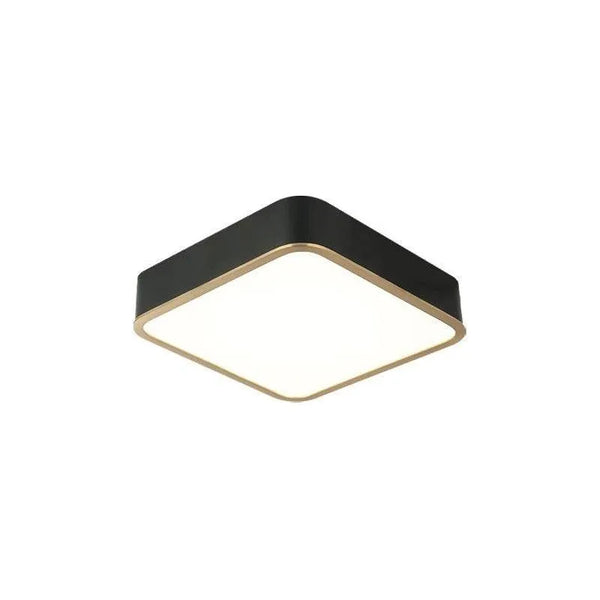 Ainslay LED Ceiling Mount