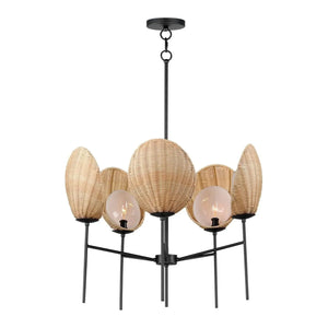 Descriptive image text