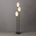 Lampe sur pied d'appoint Nova of California 2710798MB Willows, noir mat