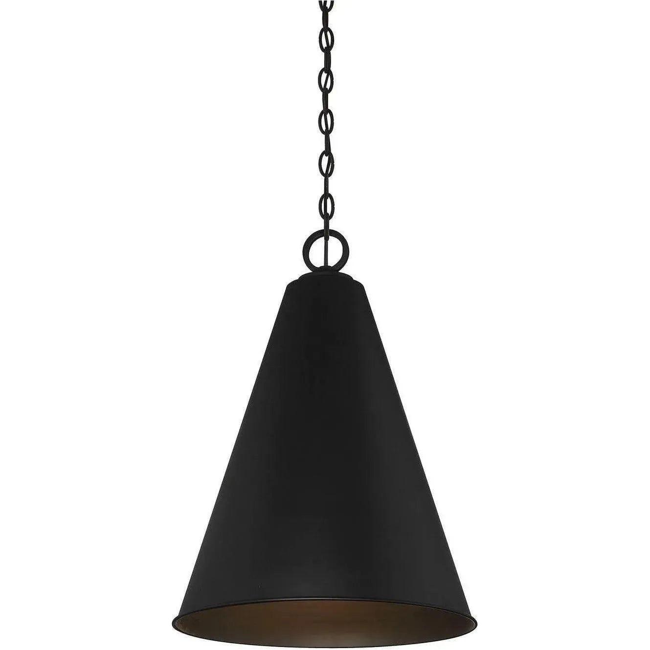 Meridian Lite Trends - Meridian One Light Pendant - M70112MBK | Montreal Lighting & Hardware