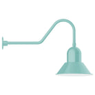 Montclair Light Works - Prima 14" Gooseneck Wall Light - GNC124-48 | Montreal Lighting & Hardware