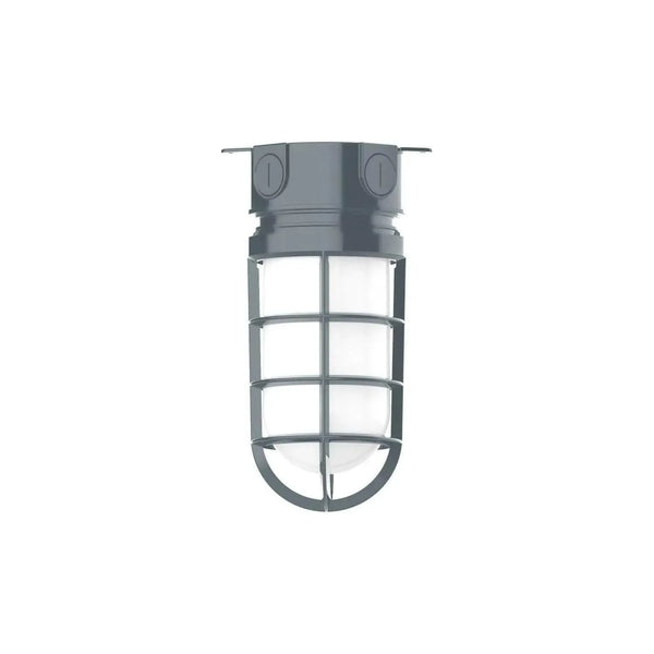 Vaportite 5 1/2 Inch Flush Mount Ceiling Light