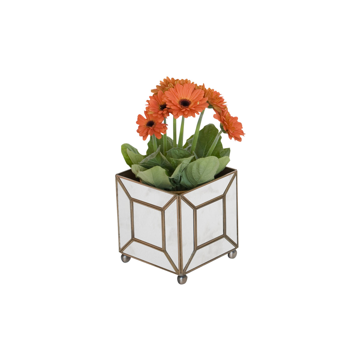 MTPAMC Square Planter